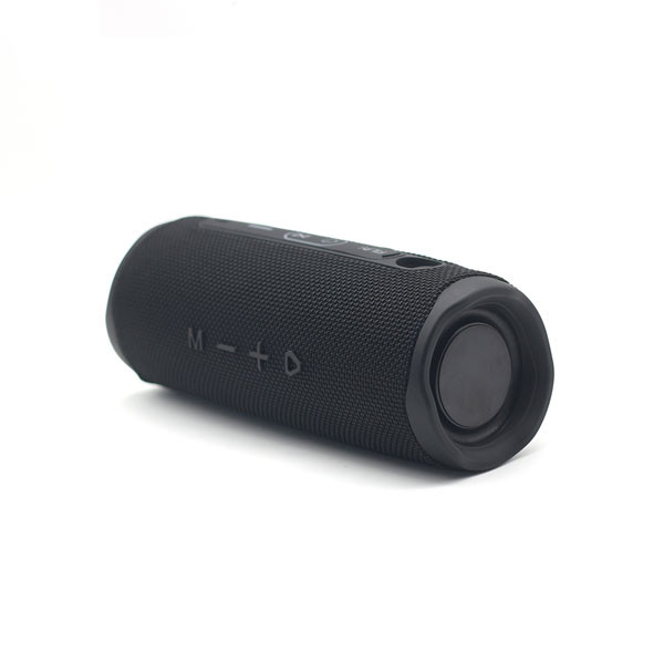 Flip 6 Wireless Portable Speaker
