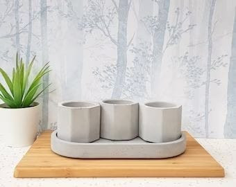 Mini Cattus Pot 6 in pack