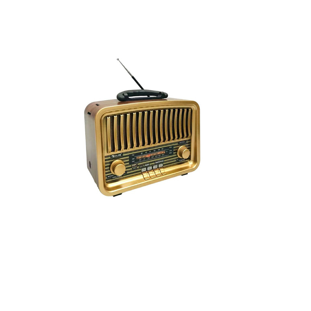 Golon RX-BT929 Bluetooth Speaker-Radio